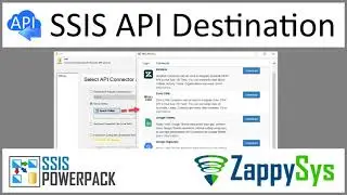 SSIS API Destination - Write or lookup data from API Data Sources using predefined Connector File