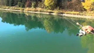 KARPFEN ANGELN AUF SICHT MIT SCHWIMMBROT