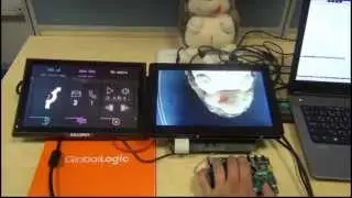 GPU sharing in Xen - demo
