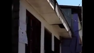 Siempre Puta
