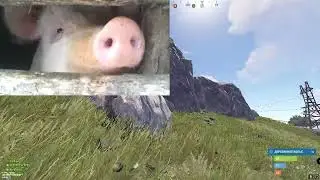 Величайший вернулся с новым видосом по Rust