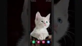 Samsung One UI 5.0 Gallery - New feature #withgalaxy #Samsung #Shorts