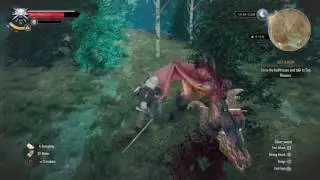 The Witcher 3: Wild Hunt - Stun-Locked Wyvern