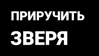 #ЧУДОВОЗДЕРЖАНИЯ