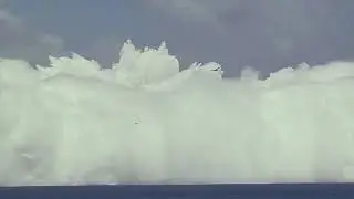 When your mom jumps into the ocean