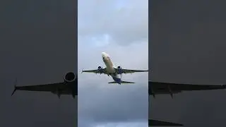 Jet 2 B737-800 Takeoff #shorts