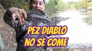 El pescado más feo del mundo!!🤢