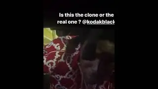 Kodak Black responded to Gucci Mane question of him being a clone
