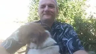 Зробив своїми руками каркас під туалет під чутким руководством Жулі.
