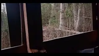 WARNING!! STAY OUT OF HURON NATIONAL FOREST!! WATCH AT YOUR OWN RISK!!