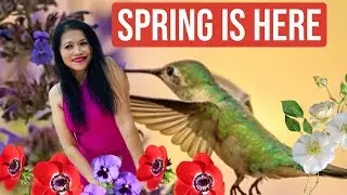 Spring Is Here
