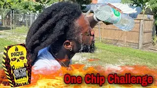 2021 ONE CHIP CHALLENGE !!