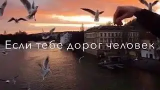 Умные слова