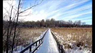 The Adventure In Canada   Week 18