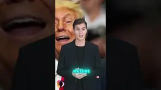 AI Avatar Explains | Elon Musk And Trump Online Interview
