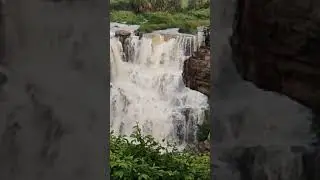 Nagarjuna sagar dam opened 26 gates #Ethipothala jalapatham