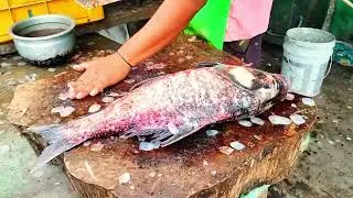 Big Fish Cleaning & Cutting | World wide clicks