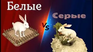 Белые кролики лучше серых? Идеальный источник нанопластика.