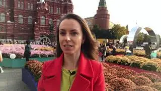 Член не стоит, но не для всех