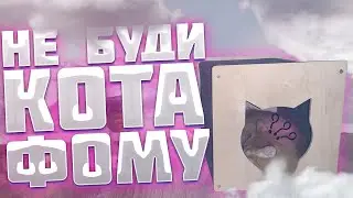 Мини влог про домик для котов! Обзор бюджетной когтеточки с яндекс маркета