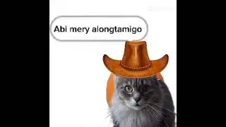 🤠cowgirl #capcut #cat #subscribe #cutecat #tiktok #shortsvideo #cutecat