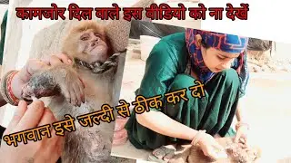 कामजोर दिल वाले इस वीडियो को ना देखें#Varsha Bulbul family vlogs #newvideo ggirls video #village bel