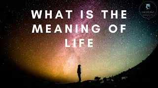 What Is The Meaning Of Life ? | WizProPlus | #spiritual #philosophy #science