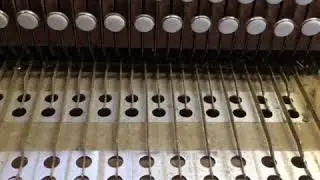 Ремонтирую Гармонь Чайка-2