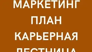 Карьерная лестница. Услоаия + Доходы. Маркетинг План компании. Сетевой Маркетинг