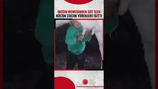 Bir çocuğun süt içmek için ineğin memesini emdiği anlar izleyenleri gülümsetti.