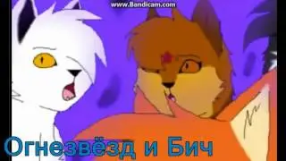 Огнезвёзд и Бич-Брат за Брата(заказ)