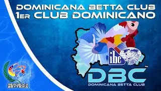 Dominicana Betta Club 1er CLUB DOMINICANO de BETTAS Avalado POR la IBC
