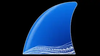 Filter encrypted HTTPs traffic - Wireshark