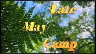 Spring Bank Holiday Woodland Camp.