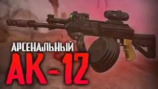 BEST ASSAULT GUN IN THE GAME? REVIEW OF THE AK-12 ARSENAL IN STALCRAFT! || STALCRAFT: X