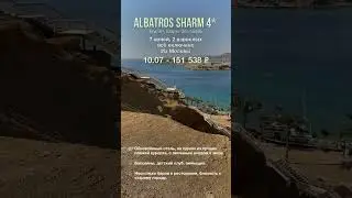 Albatros sharm 4*