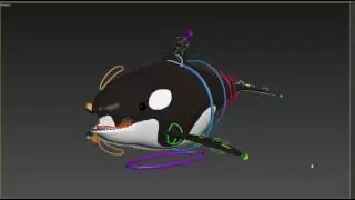 killerwhale Rigging