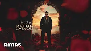 Tony Dize - Quisiera (Audio Oficial)