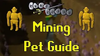Old School RuneScape Mining Pet Guide (Fastest/AFK)
