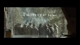 Monkey 47 x 12 Monkeys