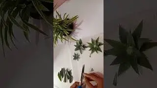 Craft with leaves | craft with pineapple leaves| # shorts pineapple leaves craft