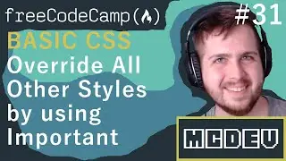 #31 Override All Other Styles by using Important | Basic CSS | Solution + Overview