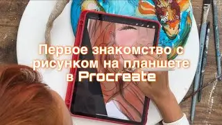 Как рисовать на планшете. Как рисовать в Procreate