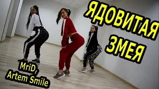 MriD, Artem Smile  - Ядовитая змея.  Танец