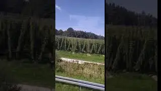 VID 20190915 131300