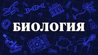 ВСЯ биология за 20 МИНУТ