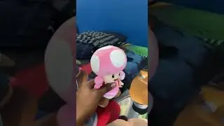 Toadette Took Mario