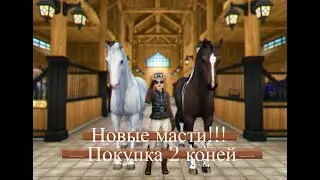 покупаем новые масти Голландской!