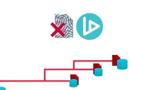 What is VIDT? | Cryptoclips Trailer