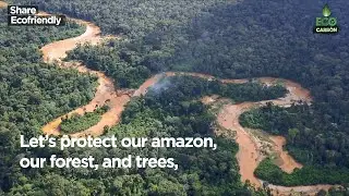 Ecocarbón
